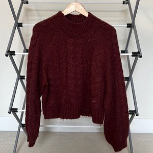 Aritzia Sunday Best Turtleneck